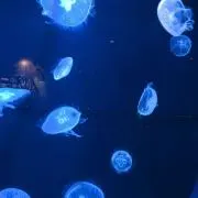 ぽっち◎