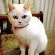 いち（プロフご確認下さい）