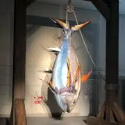 Musashiの画像