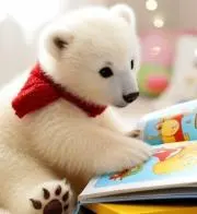 まきおのはらまきの画像