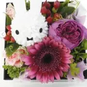 SAKURAUME9の画像