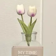 AEMIの画像