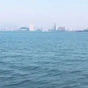 YRRの画像