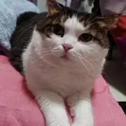 ムン