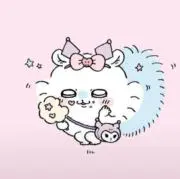 Kotaの画像