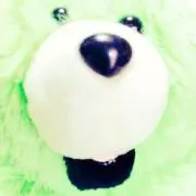 ヅラキ・ヅラヨ