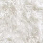 ころねの画像