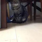 ヒロの画像