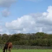 lullabyの画像