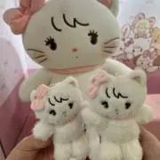 ぽん2の画像
