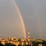 こたくぅの画像