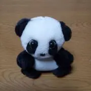 pandakyuriiの画像