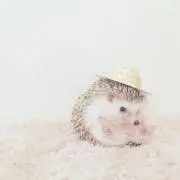 みう❁﻿.即購入◎の画像