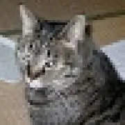 Takumi Kuwabaraの画像