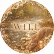 WILL@即購入◎の画像