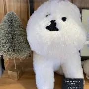 moco mocoの画像