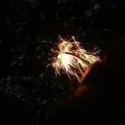 はな【処分価格】の画像