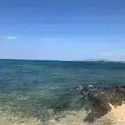 断捨離中