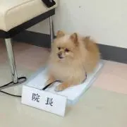 院長さん