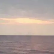 くぅ♥️