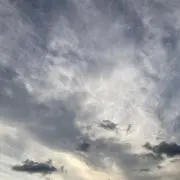 Luluの画像