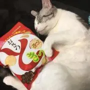 みかげ