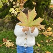 Mapleの画像