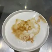 はたさんの画像