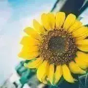 お値下げ交渉大歓迎⭕️Mike＊Rocoの画像
