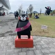 ぽんの画像