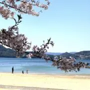 いわちの画像