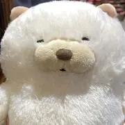 アステアの画像