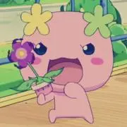 ふらわっち