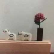 春雨*の画像