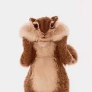 ずっき
