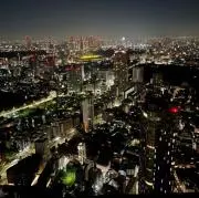 pの画像