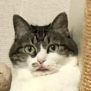 くーちゃん