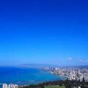 ハンナの画像