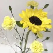 マカロン⭐︎即購入OKの画像