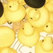 ぽみの画像