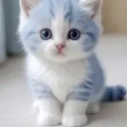 ynの画像
