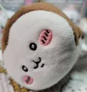 てんぶくろの画像
