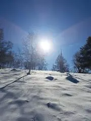 ロキシー⭐の画像