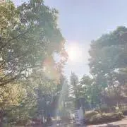 raiの画像