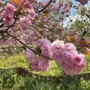 ♡marchan♬♡の画像