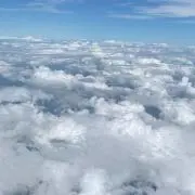 ナナの画像