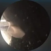 anの画像