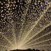 だーの画像