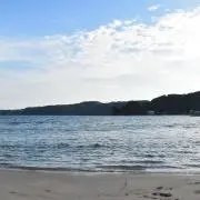 Haya