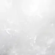 らいおんの画像